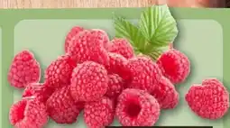 REWE Center Himbeeren Angebot