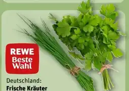 REWE Center Rewe Beste Wahl Kräuter Schnittlauch Angebot