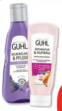 Budni Guhl Shampoo Angebot