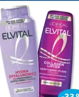 Budni L'Oréal Paris Elvital Shampoo Angebot