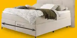 porta Set One by Musterring Boxspringbett Fairfield Angebot