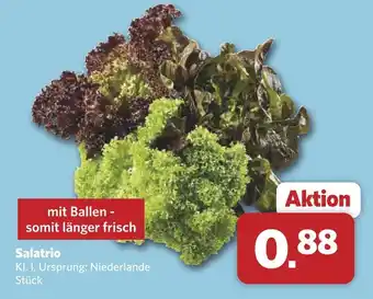 Combi Salatrio Angebot
