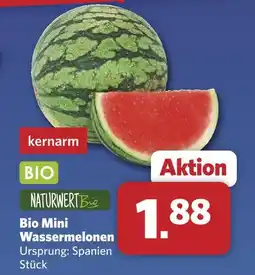 Combi Naturwert bio mini wassermelonen Angebot