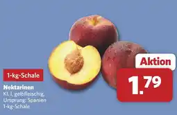 Combi Nektarinen Angebot