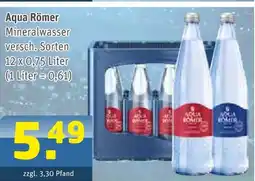 Getränke Arena Aqua römer Angebot