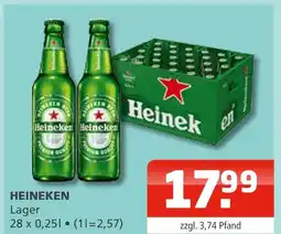 Getränke Oase Heineken lager Angebot