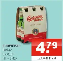 Getränke Oase Budweiser budvar Angebot