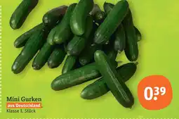 tegut Mini gurken Angebot
