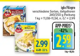 diska Iglo filegro Angebot