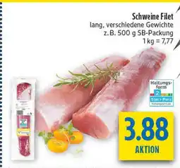 diska Schweine filet Angebot