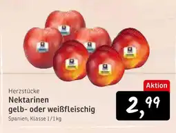 KONSUM Herzstücke nektarinen gelb- oder weißfleischig Angebot