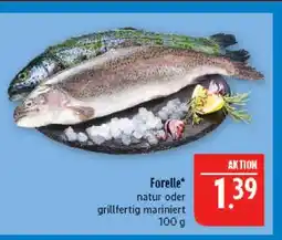Marktkauf Forelle Angebot