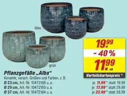 toom Baumarkt Pflanzgefäße „Alba" Angebot