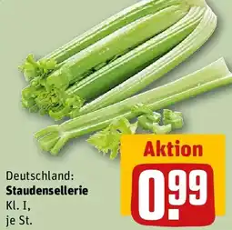 REWE Staudensellerie Angebot