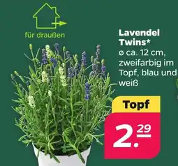 Netto Lavendel Twins Angebot
