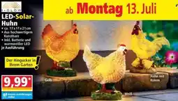 Norma I-GLOW LED-Solar-Huhn Angebot