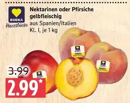 Marktkauf Edeka Nektarinen oder Pfirsiche gelbfleischig Angebot