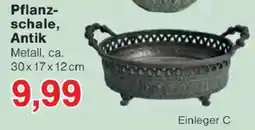 Jawoll Pflanzschale, Antik Angebot