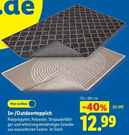 Lidl In-/Outdoorteppich Angebot