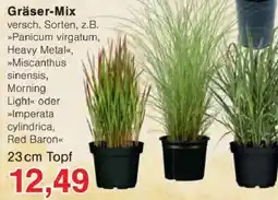 Jawoll Gräser-Mix Angebot