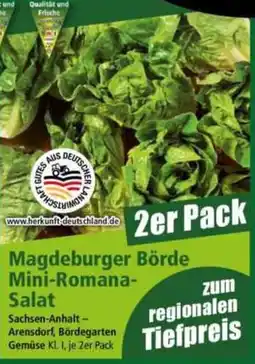 Norma Magdeburger Börde Mini-Romana-Salat Angebot