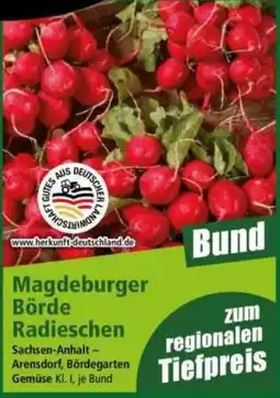 Norma Magdeburger Börde Radieschen Angebot