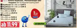 Marktkauf Biberna Sommer-Kopfkissen, Matratzentopper oder Steppbett Angebot
