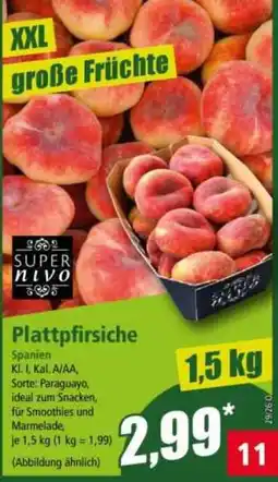 Norma Plattpfirsiche SUPER nivo Angebot