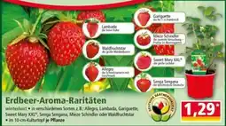 Norma Erdbeeren-Aroma-Raritäten Angebot