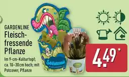 Aldi Nord GARDENLINE Fleischfressende Pflanze Angebot