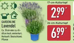 Aldi Nord GARDENLINE Lavendel Angebot