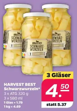 Netto HARVEST BEST Schwarzzwurzeln Angebot