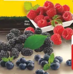 E-Center Edeka Regional Himbeeren Angebot