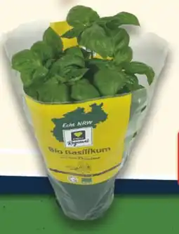 E-Center Edeka Regional Bio Basilikum Angebot