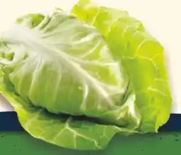 E-Center Edeka Regional Spitzkohl Angebot