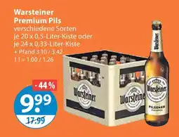 V Markt Warsteiner premium pils Angebot