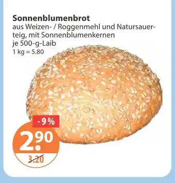 V Markt Sonnenblumenbrot Angebot