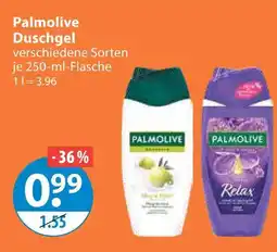 V Markt Palmolive duschgel Angebot