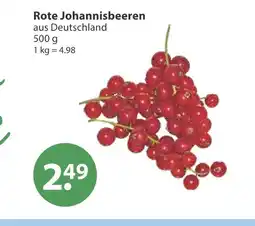 V Markt Rote johannisbeeren Angebot