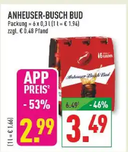 Marktkauf Anheuser-busch bud Angebot