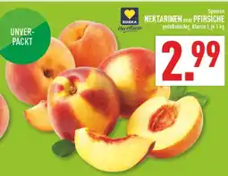 Marktkauf Nektarinen Angebot
