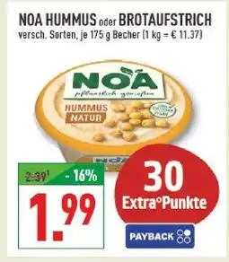 Marktkauf Noa hummus Angebot