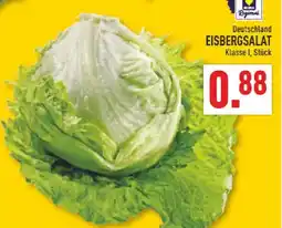 Marktkauf Eisbergsalat Angebot