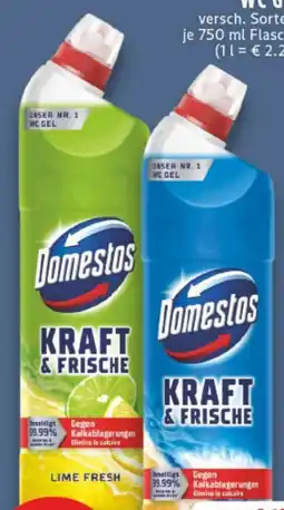 E-Center Domestos Kraft & Frische WC Gel Angebot