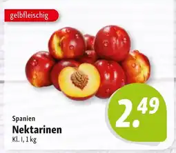 Nah & Frisch Spanien Nektarinen Angebot