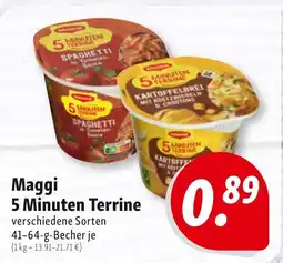 Nah & Frisch Maggi 5 Minuten Terrine Angebot