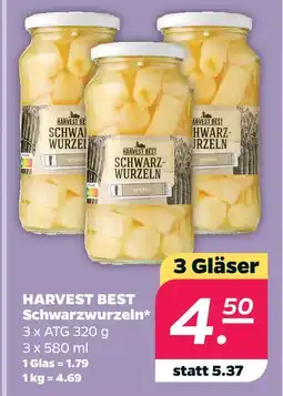 Netto Harvest best schwarzwurzeln Angebot