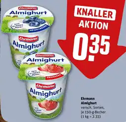 REWE Ehrmann Almighurt Angebot