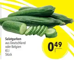 CITTI Markt Salatgurken Angebot