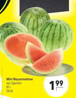 CITTI Markt Mini Wassermelone Angebot